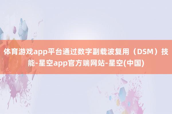 体育游戏app平台通过数字副载波复用(DSM)技能-星空app官方端网站-星空(中国)