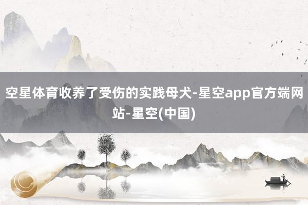 空星体育收养了受伤的实践母犬-星空app官方端网站-星空(中国)
