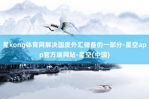 星kong体育网解决国度外汇储备的一部分-星空app官方端网站-星空(中国)