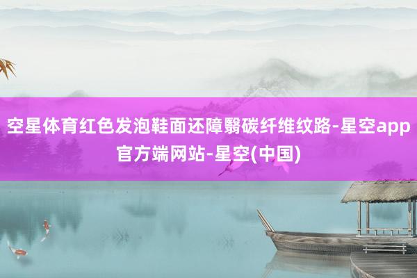 空星体育红色发泡鞋面还障翳碳纤维纹路-星空app官方端网站-星空(中国)
