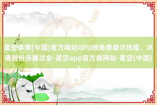 星空体育(中国)官方网站GPU独角兽摩尔线程、沐曦股份接踵过会-星空app官方端网站-星空(中国)